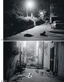 Untitled (Nizamuddin at Night) by Gauri Gill, Silver gelatin prints, sold Feb 2011