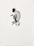 Study for Kolathar`s `Drona` by Atul Dodiya, Watercolour on paper pasted on board, sold Feb 2011