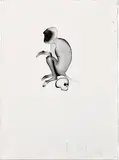Study for Kolathar`s `Drona` by Atul Dodiya, Watercolour on paper, offered Dec 2010
