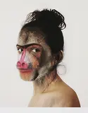 Untitled by Bharti Kher, Digital C print on Hahnemuhle photo rag bright white paper, offered Sep 2010
