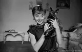 Audrey Hepburn, Londres, 1951 by Walter Carone, Ensemble de 2 photographies, sold Nov 2024
