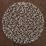 Waiting to Blossom - 3 by Manisha Parekh, Handmade paper and cord on board, sold Jun 2009