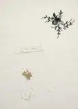 Untitled by Mithu Sen, Mixed media on paper, offered Jun 2009