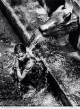 Holy Bath, Basavakalyan, Karnataka, India by T S Satyan, Print on Hahnemuhle fine art bright white archival paper, sold Dec 2008