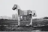 Untitled by Gigi Scaria, Digital C print on paper, sold Dec 2008