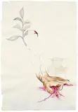 Untitled by Mithu Sen, Mixed media on paper pasted on board, sold Dec 2008