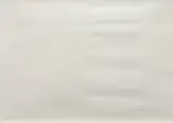 Untitled by A. Balasubramaniam, Etching on paper, sold Nov 2008