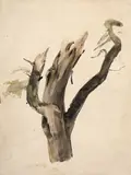 Etude de branche by Jean Gigoux, Aquarelle, sold Feb 2023
