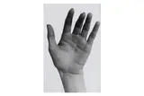 Untitled by Andre de Dienes, print, offered Nov 2019