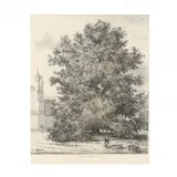 Horse - Chestnut at Burleigh by Jacob George Strutt, Etching, sold Dec 2020
