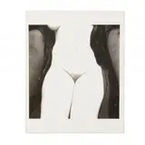Nude, 1949-1950 by Irving Penn, Gelatin silver print, sold Dec 2020