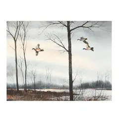 Waterfowl in Flight by David Hagerbaumer, Watercolor on paper, sold Nov 2020