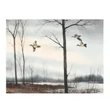 Waterfowl in Flight by David Hagerbaumer, Watercolor on paper, sold Nov 2020