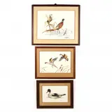 Three Framed Waterfowl Paintings by Alice Taylor, Watercolor on paper, sold Nov 2020