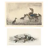 English Setter Laverack with Game and Duck and Ducklings by Léon Danchin, Hand-colored etchings, sold Nov 2020