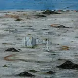 Black Landscape by Alok Bal, Emulsion and acrylic on canvas, sold Sep 2008
