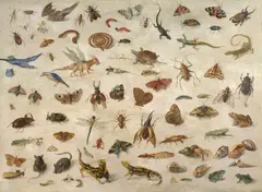 Insectes, batraciens, coquillages et souris by Jan van Kessel l'Ancien, Huile sur panneau, aminci et doublé, sold Mar 2023