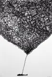 Untitled by Chiharu Shiota, 2016, Lithographie en noir, sold Dec 2023