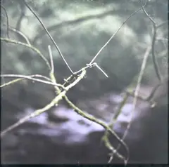 Superstition (from the Native series) by Mona Kuhn, 2009, chromogenic print, sold Sep 2024
