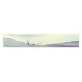 In The Beginning by Bill Coleman, Color photograph, sold Nov 2020