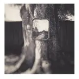 Every Picture Tells a Story by Rebecca Sexton Larson, Archival pigment print, sold Oct 2020
