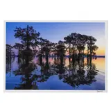 Blue Bayou by Beamie Young, Archival pigment print, sold Oct 2020