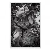 Harvesting Coffee, Sierra Maestra Mountains, Cuba by Richard Andrew Sharum, 2017, Archival pigment print, sold Oct 2020