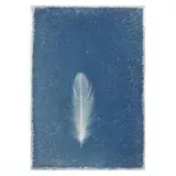 Untitled , from Feathers by Kenneth Rosenthal, A unique cameraless cyanotype print on cotton rag, sold Oct 2020