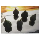 Still life with Five Figs, Portugal by Phil Moody, Archival pigment print, sold Oct 2020