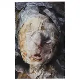 Untitled , from Second Skin by Ashley Moog Bowlsbey, Archival pigment print, sold Oct 2020