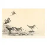 Woodcocks by a Lake by Léon Danchin, Etching, sold Oct 2020