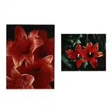 Daylilies (Two Works) by Alex George, Each a C-print, sold Oct 2020