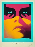Shadow Play (Paris colorway) by Shepard Fairey, 2019, Sérigraphie en couleurs, sold Apr 2023