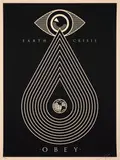 Earth Crisis (Black) by Shepard Fairey, 2014, Sérigraphie en couleurs, sold Apr 2023