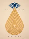 Wide awake (Gold) by Shepard Fairey, 2020, Sérigraphie en couleurs, sold Apr 2023