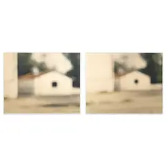 Untitled (98.1) Diptych by Uta Barth, 1998, chromogenic print, sold Nov 2024