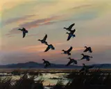 Evening in the Great Basin – Wigeon by Harry Adamson, oil on canvas, sold Nov 2024