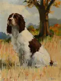 Springer Spaniel by Richard Evett Bishop, 1938, oil on board, sold Nov 2024