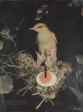 Oiseau by Georges Hugnet, Collage de magazines sur papier, sold Mar 2016