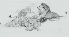 Cubs by Wilhelm Kuhnert, Graphite, sold Apr 2024