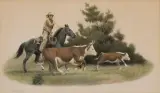 Brushed Off by Wayne Baize, Pastel, sold Aug 2024