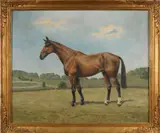 portrait of the horse Chapeau by Luca W. Lucas, oil on canvas, sold Jan 2013