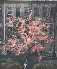 Untitled (Tree in Bloom) by Frederick Mershimer, 1986, mezzotint, sold Feb 2025