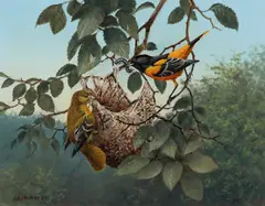 Building the Nest by Owen J. Gromme, 1984, oil on canvas, sold Nov 2024
