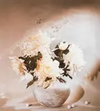 Bouquet de Chrysanthèmes blancs, novembre 1983 by Toni Catany, Tirage gélatino-argentique C Print d'époque, sold Oct 2015