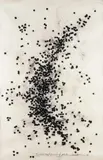 Random developments of points by Bernar Venet, 1988, Fusain et collage sur papier, sold Dec 2009