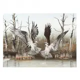Two Birds Competing for a Fish by A. J. Rudisill, Gouache, sold Jul 2020
