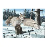 Great Horned Owl by A. J. Rudisill, Gouache, sold Jul 2020