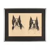 Portrait Studies of a Boston Terrier by Paul Terry, Charcoal on paper, sold Jul 2020