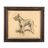 Portrait of a Great Dane by Paul Terry, Charcoal on canvas board, sold Jul 2020